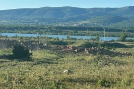 Участок 10 сот в с. Родниковое
